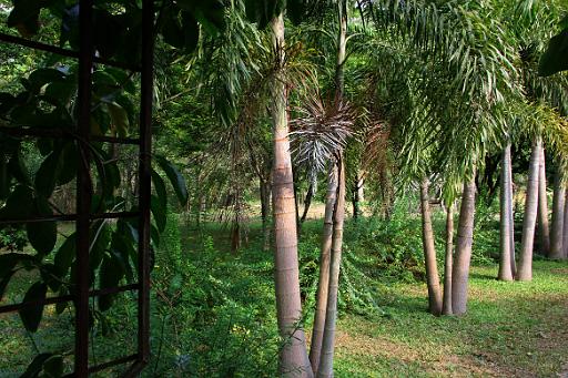0581 Chiangmai.jpg
